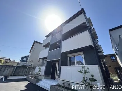 サンフラワーの画像