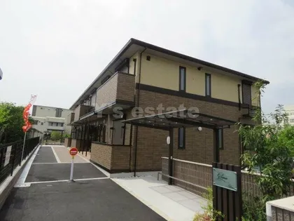 グロリアの画像