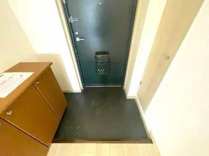 シャトー・レイクルイーズ【6階】の玄関