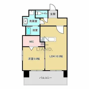 F・STAGE博多【901号室】の間取り