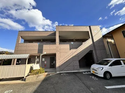 M ブロッサムの画像