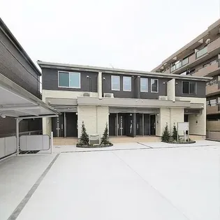 バーベナの画像