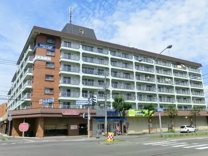 平岸パールハイムの画像