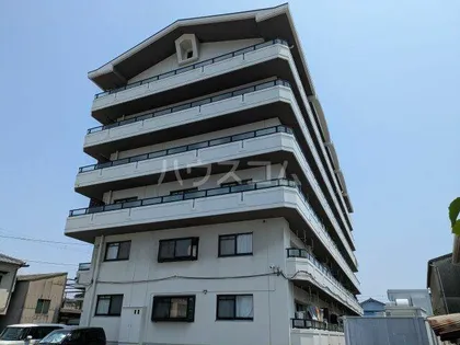 エステル和泉の画像