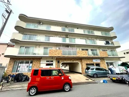 メリッサ錦の画像