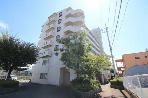 メゾンドール富田林【7階】の外観