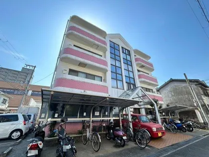 大阪府泉大津市松之浜町2丁目【マンション】の外観