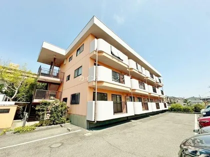 ルナ コートの画像