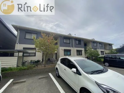 メゾンモチの木の画像