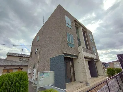 プラシードの画像
