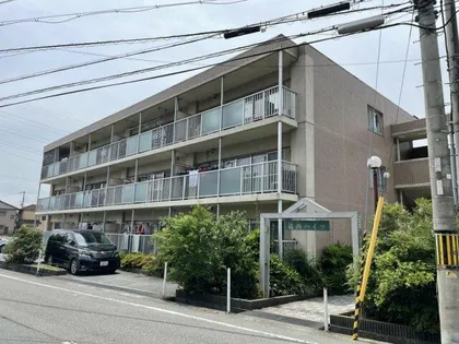 道西ハイツの画像