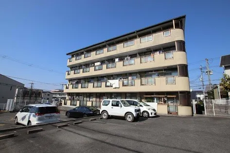 アレーゼFの画像