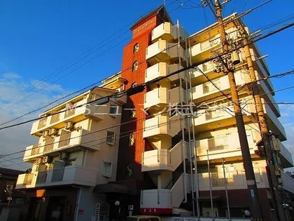 パレスコートの画像