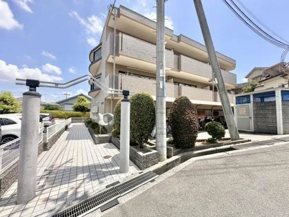 リビオ金剛の画像