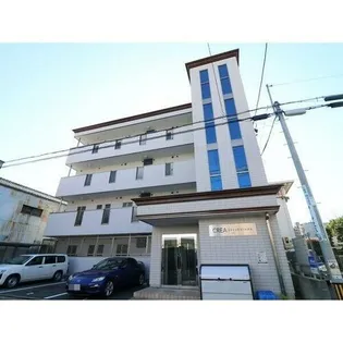 クレア桜山の画像