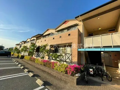 アイパレット岩屋の画像