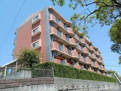 ハミングバード上吉田の画像