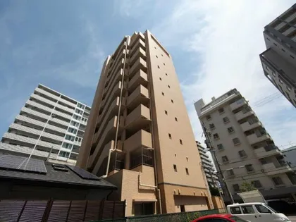 トレフルコートの画像