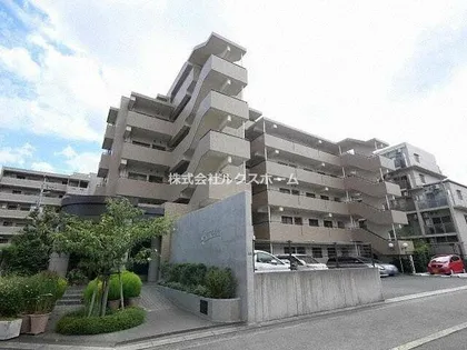 セレッソの画像