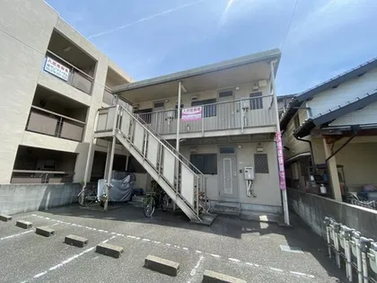 プリムローズの画像