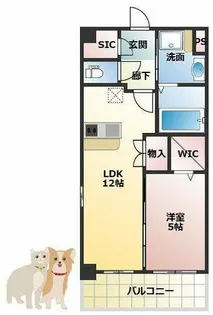 スプランディッド新大阪EAST【5階】の間取り