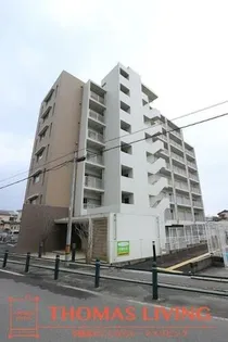 秋桜中間の画像