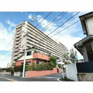 ネオシティ岡崎南壱番館の画像