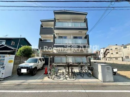 FASECIA RADの画像