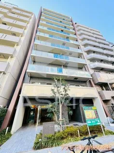 ジェイラピスナンバの画像