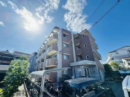 アプリコット こさかの画像