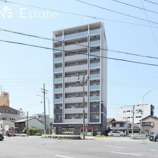 マイコスモスの画像