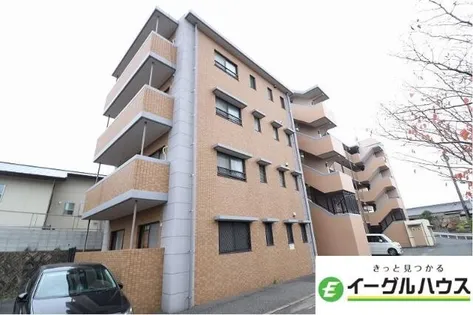 LIVE筑紫野の画像