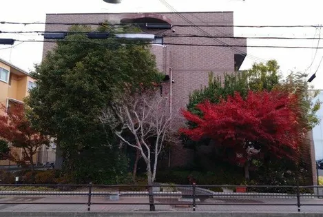 カサセラミカの画像