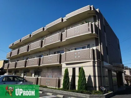 コーディアルさくらの画像