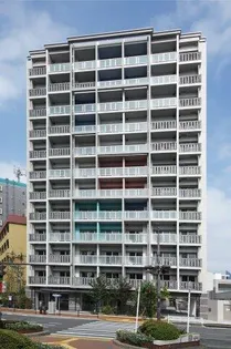 サヴォイ ザ ブルネットの画像