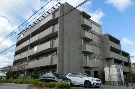 ドムストリアの画像