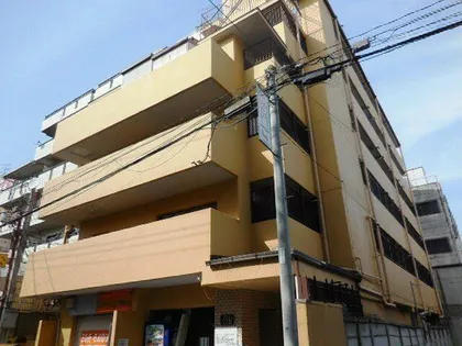 パレ正起の画像