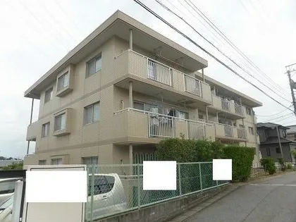 アイリス八橋の画像