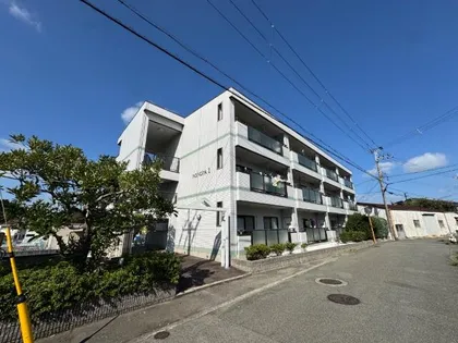 NONOYA1の画像