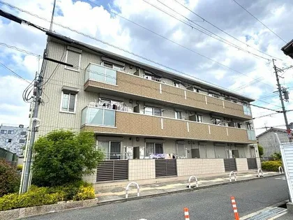 シャルマンの画像