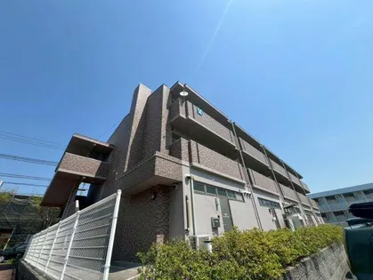 ピュア プルーンの画像