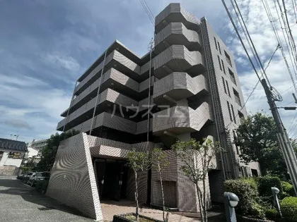 ハイムヤノウの画像