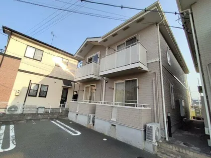 ヴィオラ Bの画像