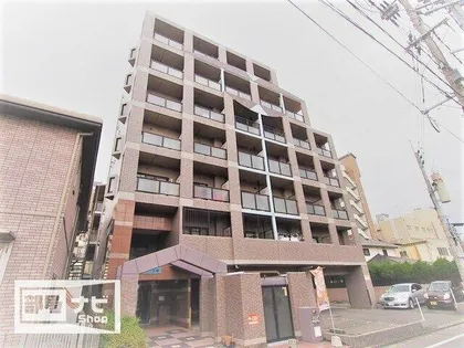 ペスカデリア大楠の画像