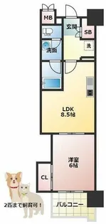 マスターズ・レジデンス道頓堀Ⅲ【8階】の間取り