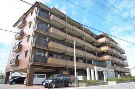 アルカディアの画像