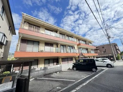 ハイツシャンボール【303号室】の外観