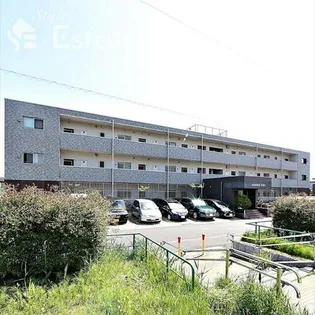 CENTRAL FERSの画像