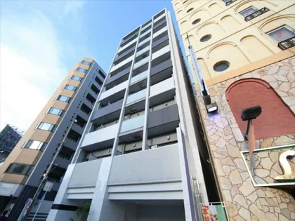 アモン リオ ブランシュの画像