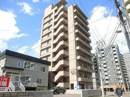 セントポーリアクレアの画像